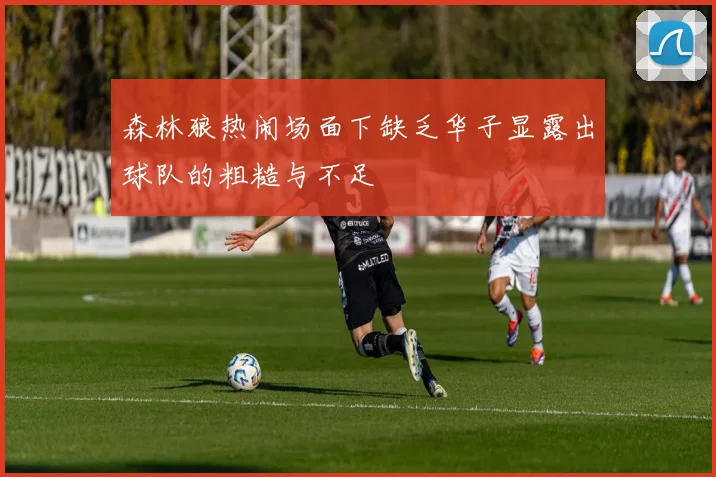 森林狼热闹场面下缺乏华子显露出球队的粗糙与不足
